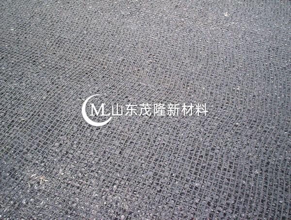 鋼塑土工格柵的適用范圍