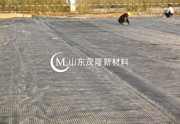 鋼塑土工格柵在修路工程中的應用