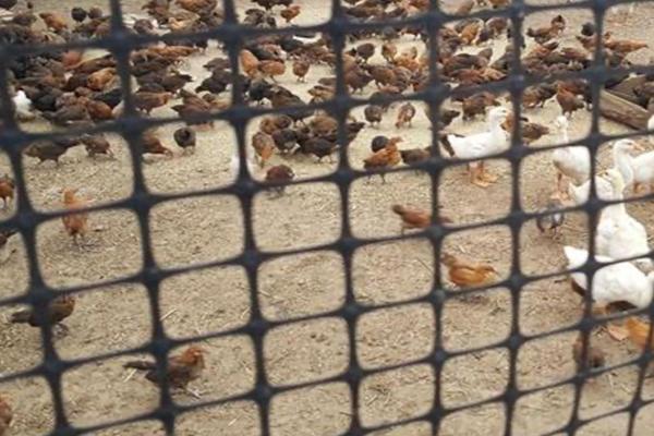 土工格柵都可以應用在什么地方?