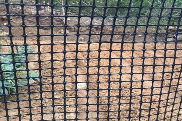 塑料格柵可用于養(yǎng)殖中做圍欄