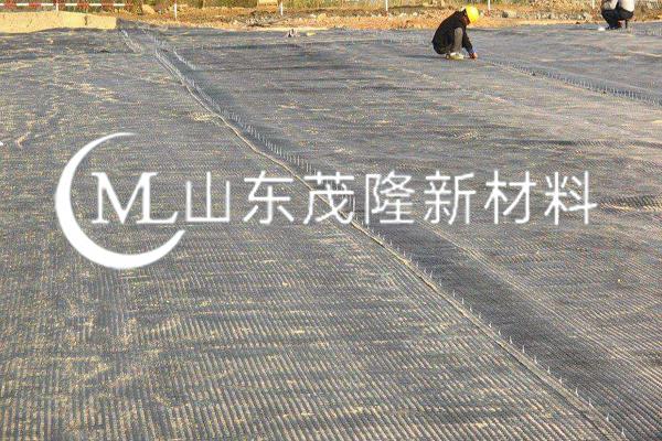 《畜牧養(yǎng)殖項(xiàng)目》土工格柵施工