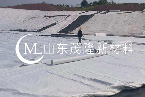 《山東濱州垃圾填埋場項目》土工布施工