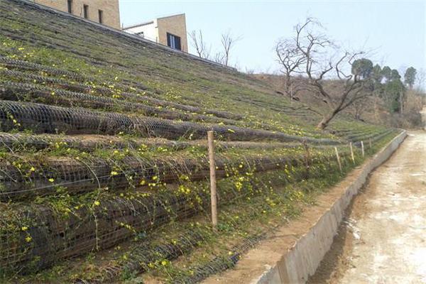 土工格柵在擋土墻中的優(yōu)勢(shì)詳解 第3張
